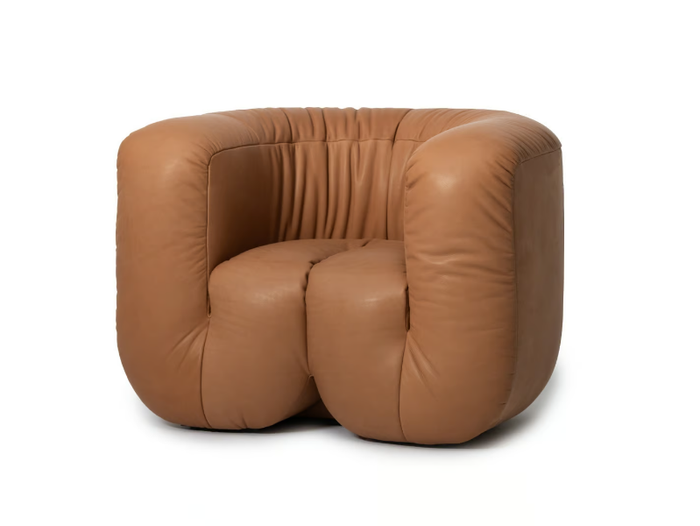 DS-707 CANADA - Leather armchair with armrests _ de Sede